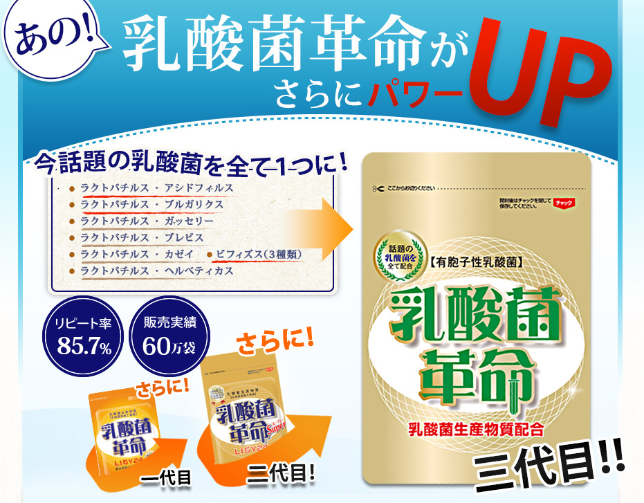 乳酸菌革命